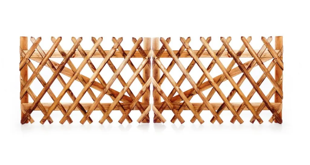 61877_Product-scaled