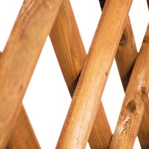 61885_Product-scaled