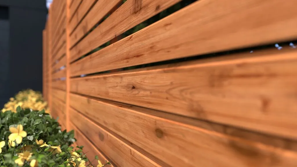 rhombus_pinie_ambiente_3