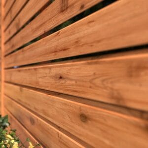 rhombus_pinie_ambiente_3