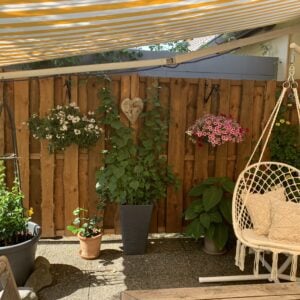 264783AE-D0E9-449C-9FAD-956677801081