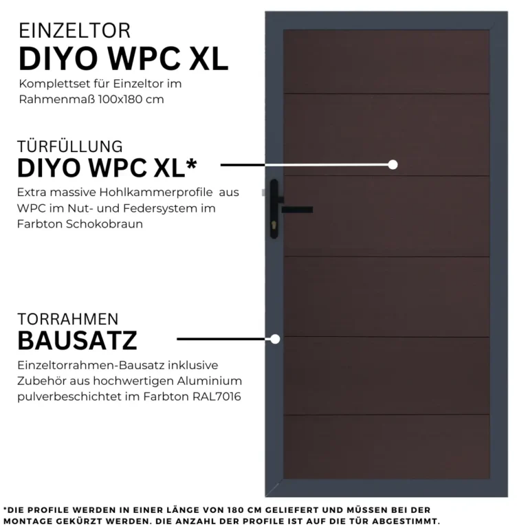 12.webp