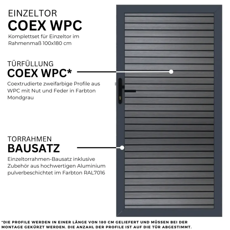 6.webp