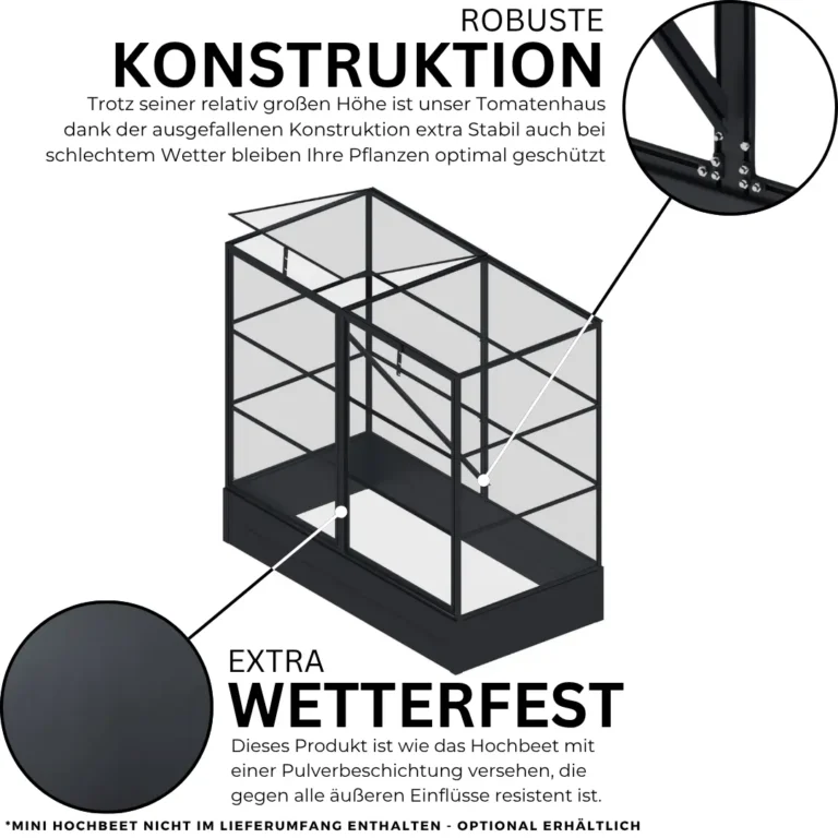 3.webp