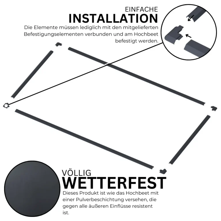 6.webp