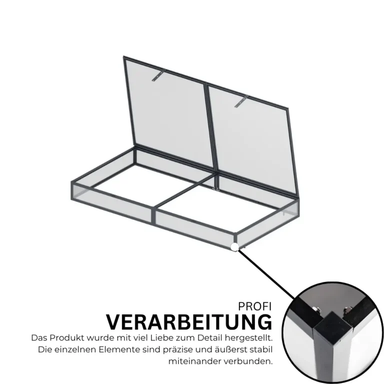 9.webp
