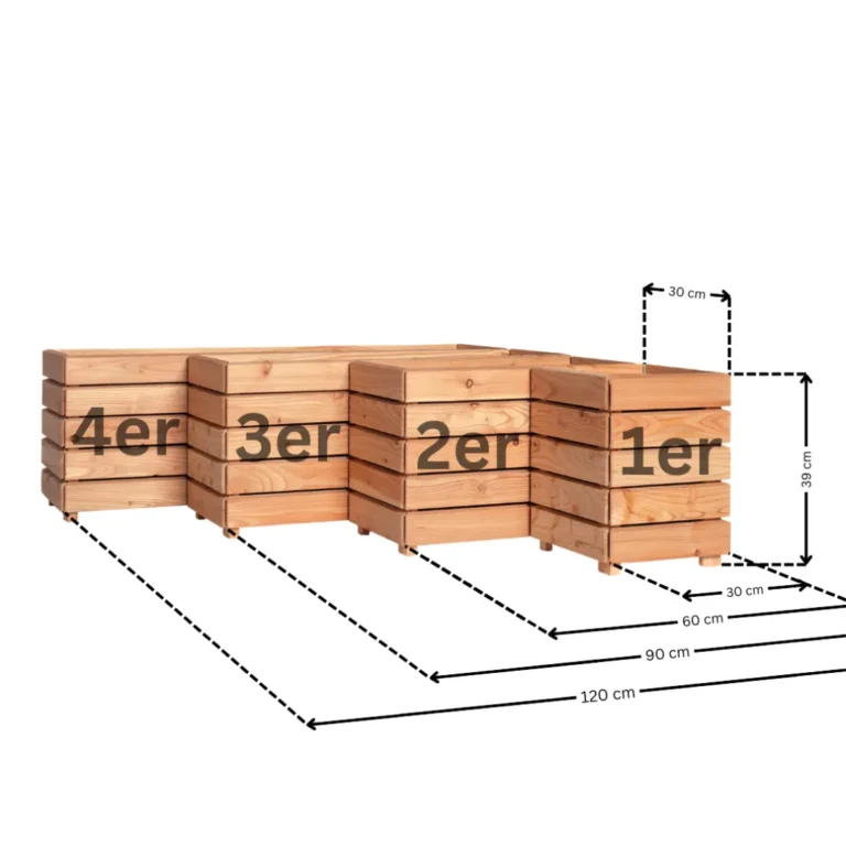 11.webp