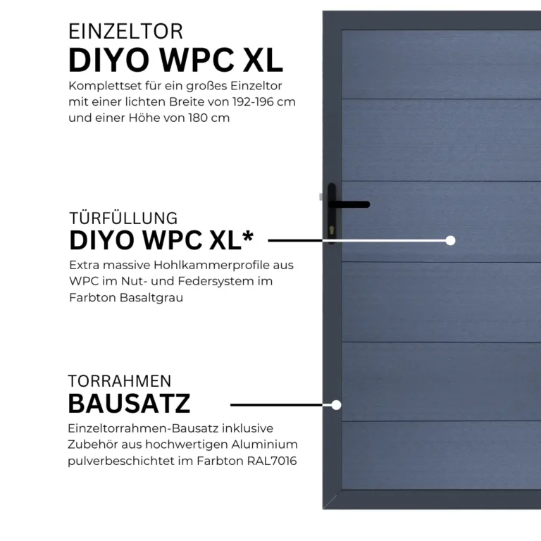 12.webp