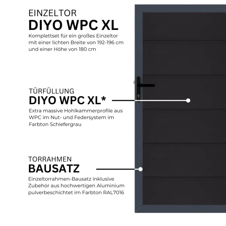 16.webp