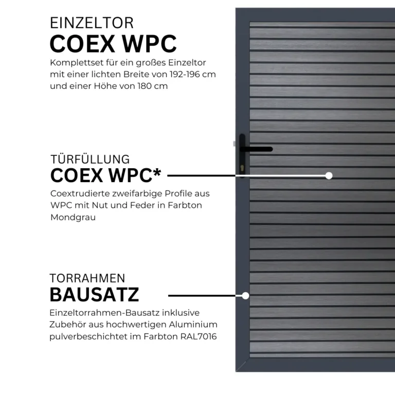 6.webp