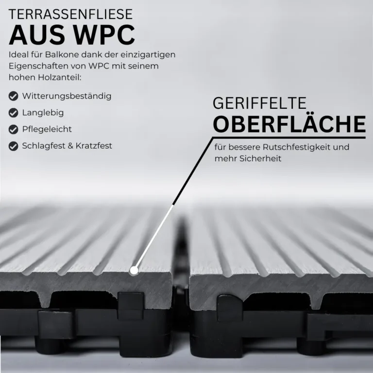 6.webp