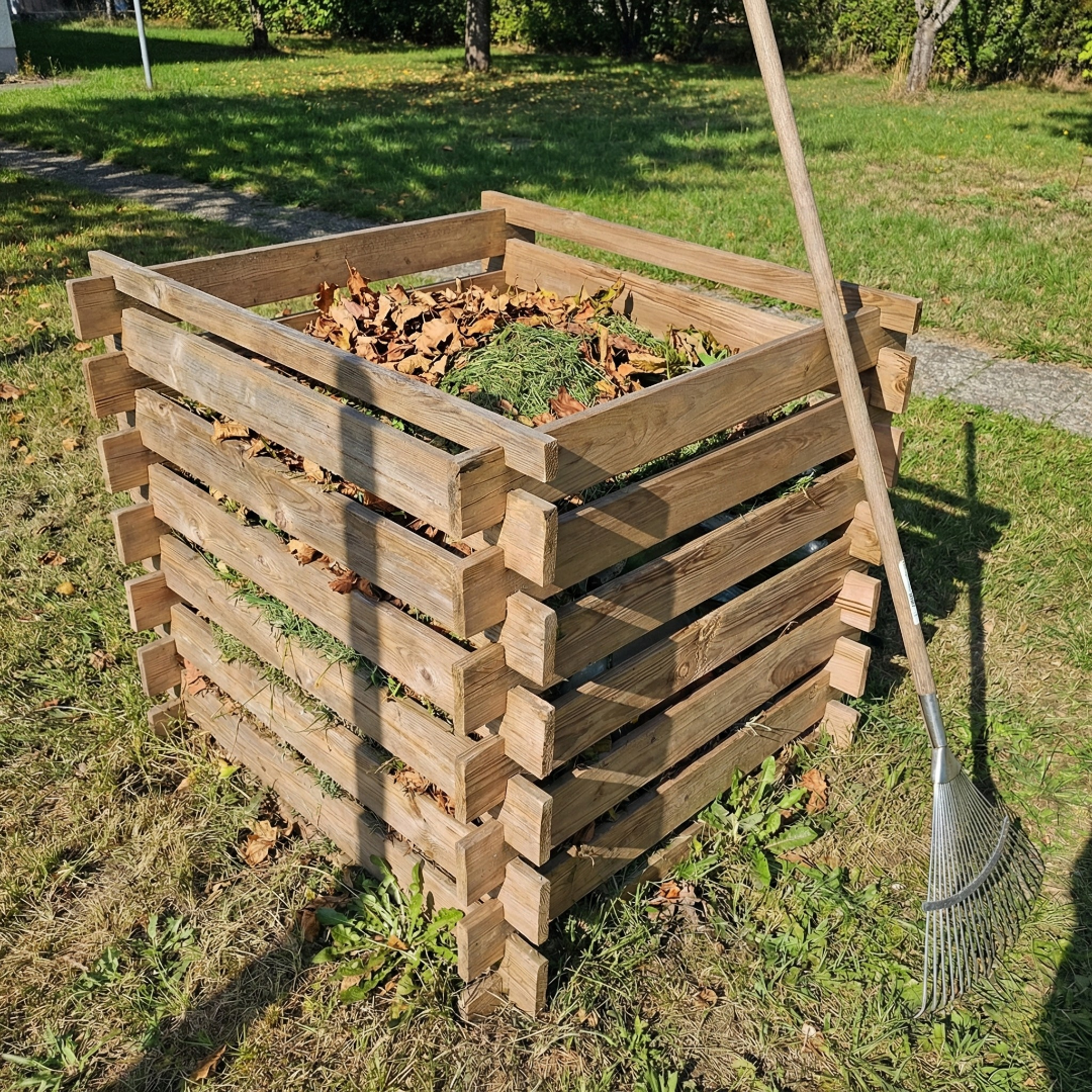 Gemini_Generated_Image_2m1es92m1es92m1e - bearbeitet.webp