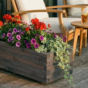 Gemini_Generated_Image_k15ebhk15ebhk15e - bearbeitet.webp