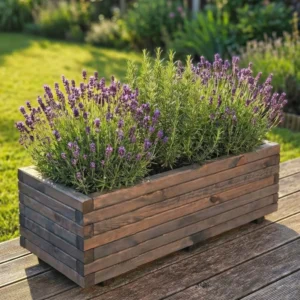 Gemini_Generated_Image_uc7xgjuc7xgjuc7x - bearbeitet.webp