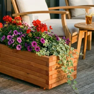 Gemini_Generated_Image_wg5kwiwg5kwiwg5k - bearbeitet.webp