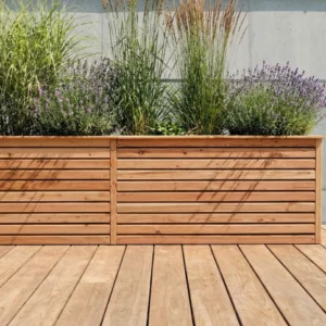 Gemini_Generated_Image_al5cmqal5cmqal5c - bearbeitet.webp