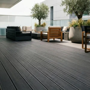 Gemini_Generated_Image_pcru8xpcru8xpcru - bearbeitet.webp