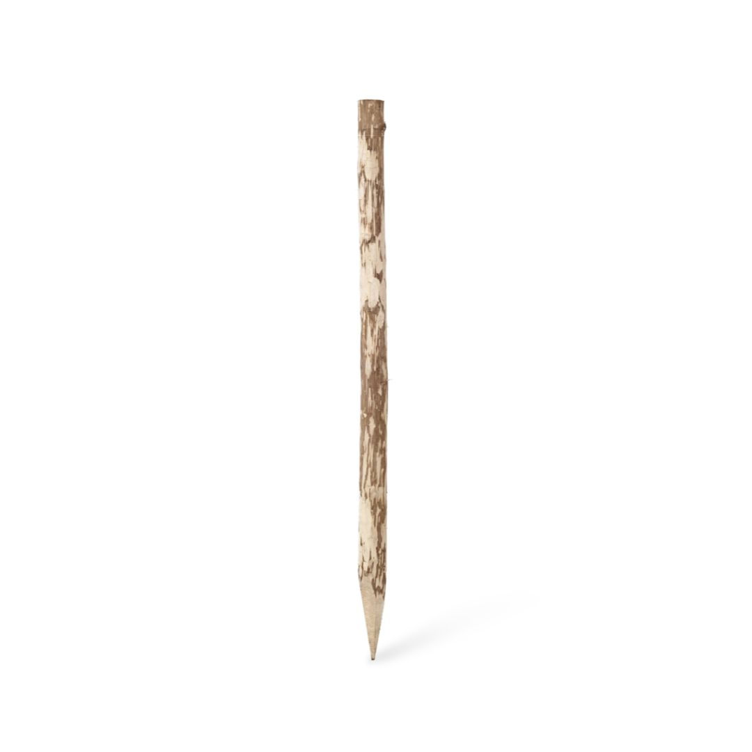 Haselnusszaunpfahl - 120-150 x 4-6 cm.webp