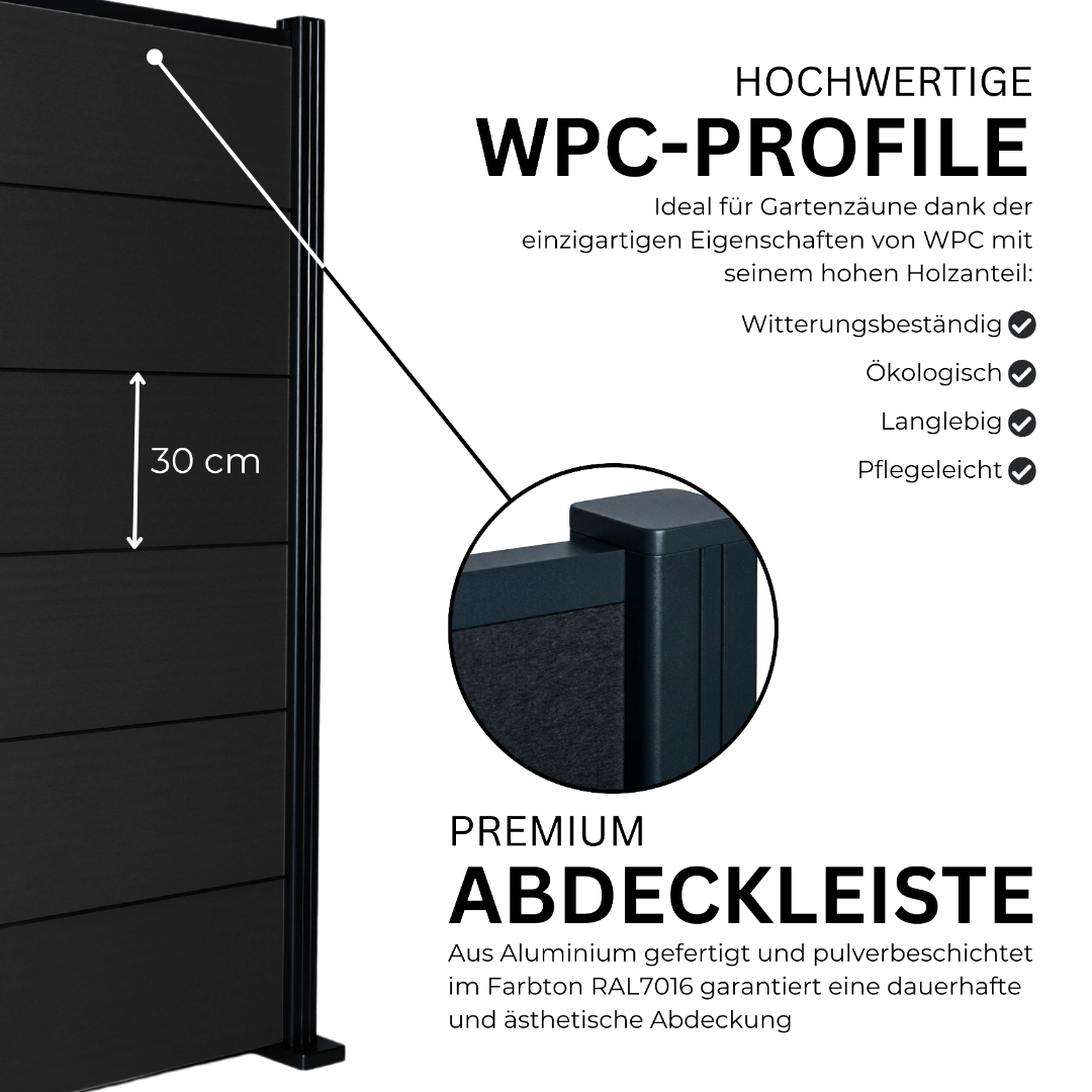 5.webp