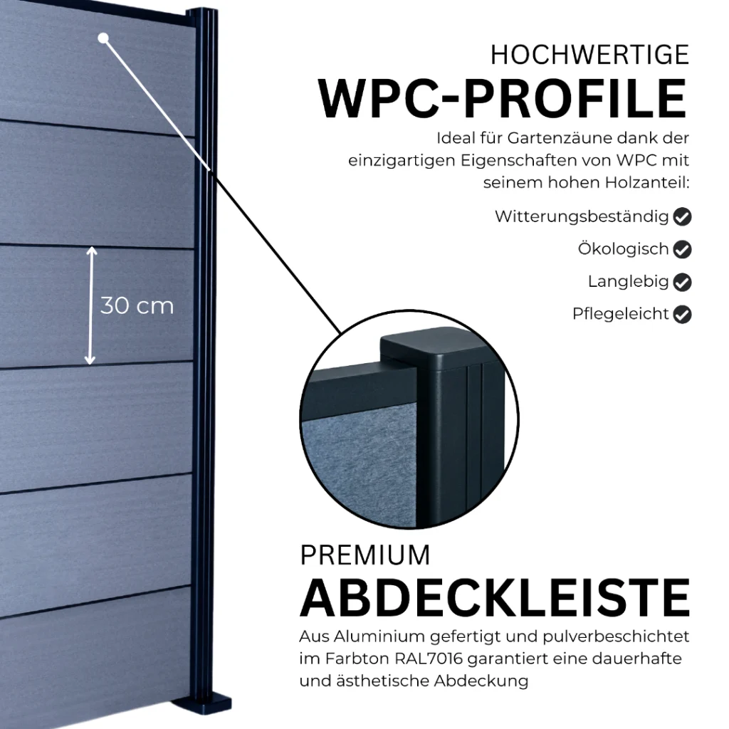 5.webp