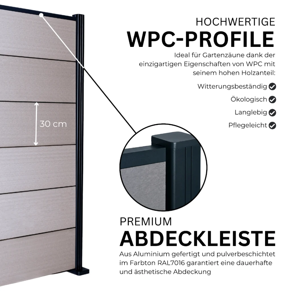 5.webp