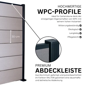 5.webp