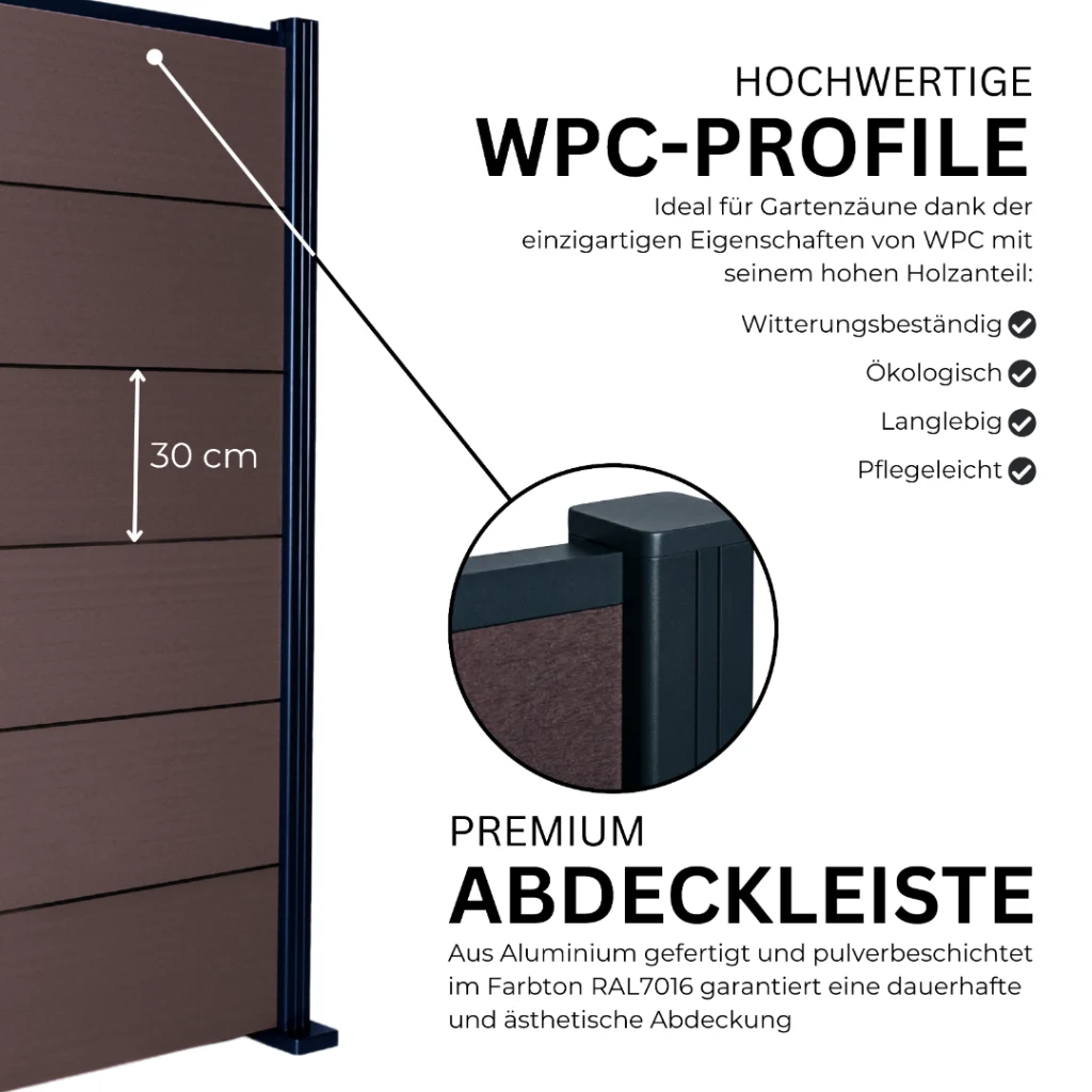 5.webp