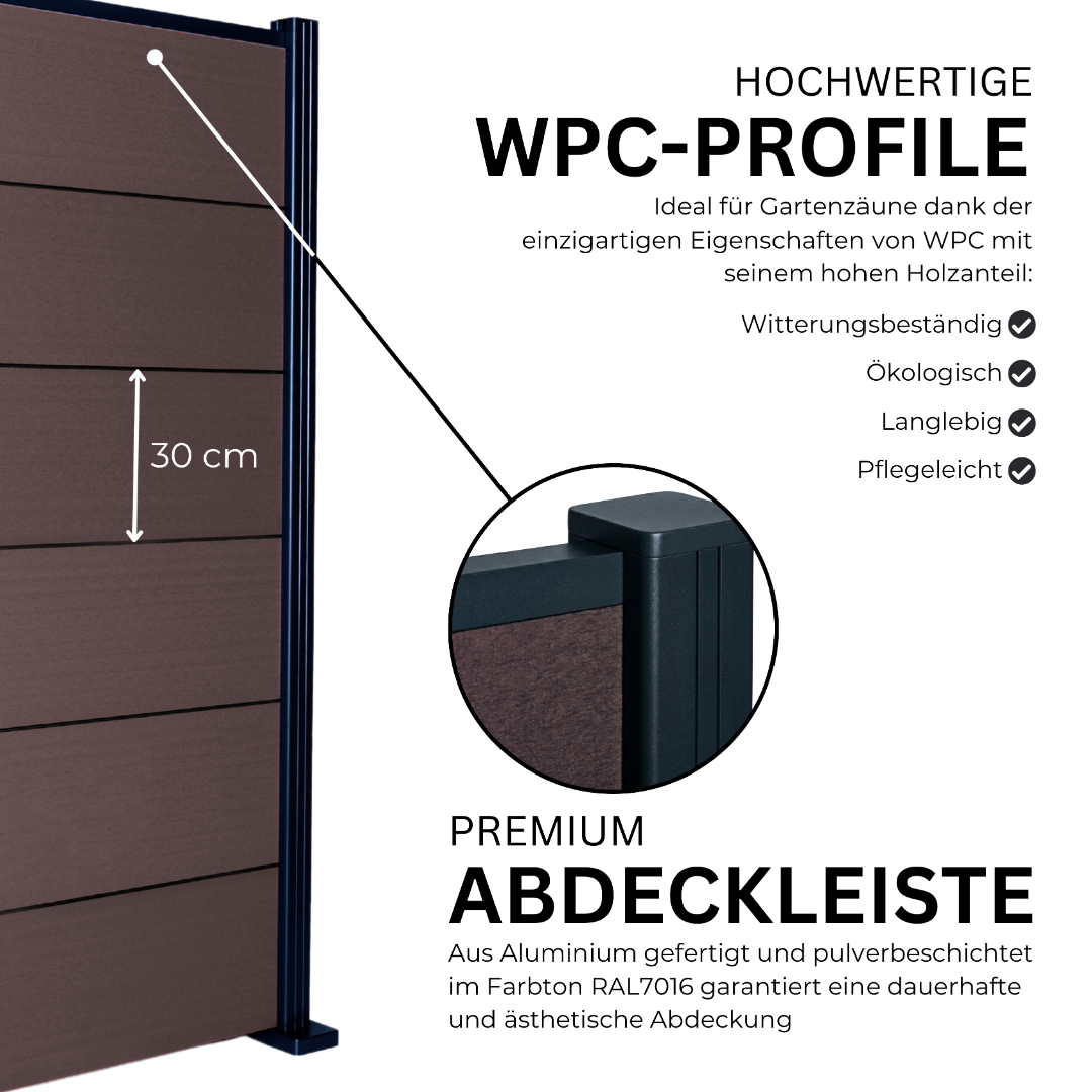 5.webp