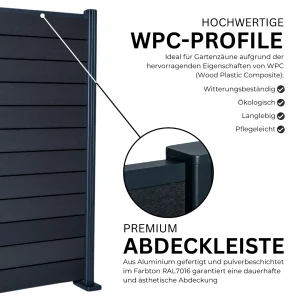 3.webp