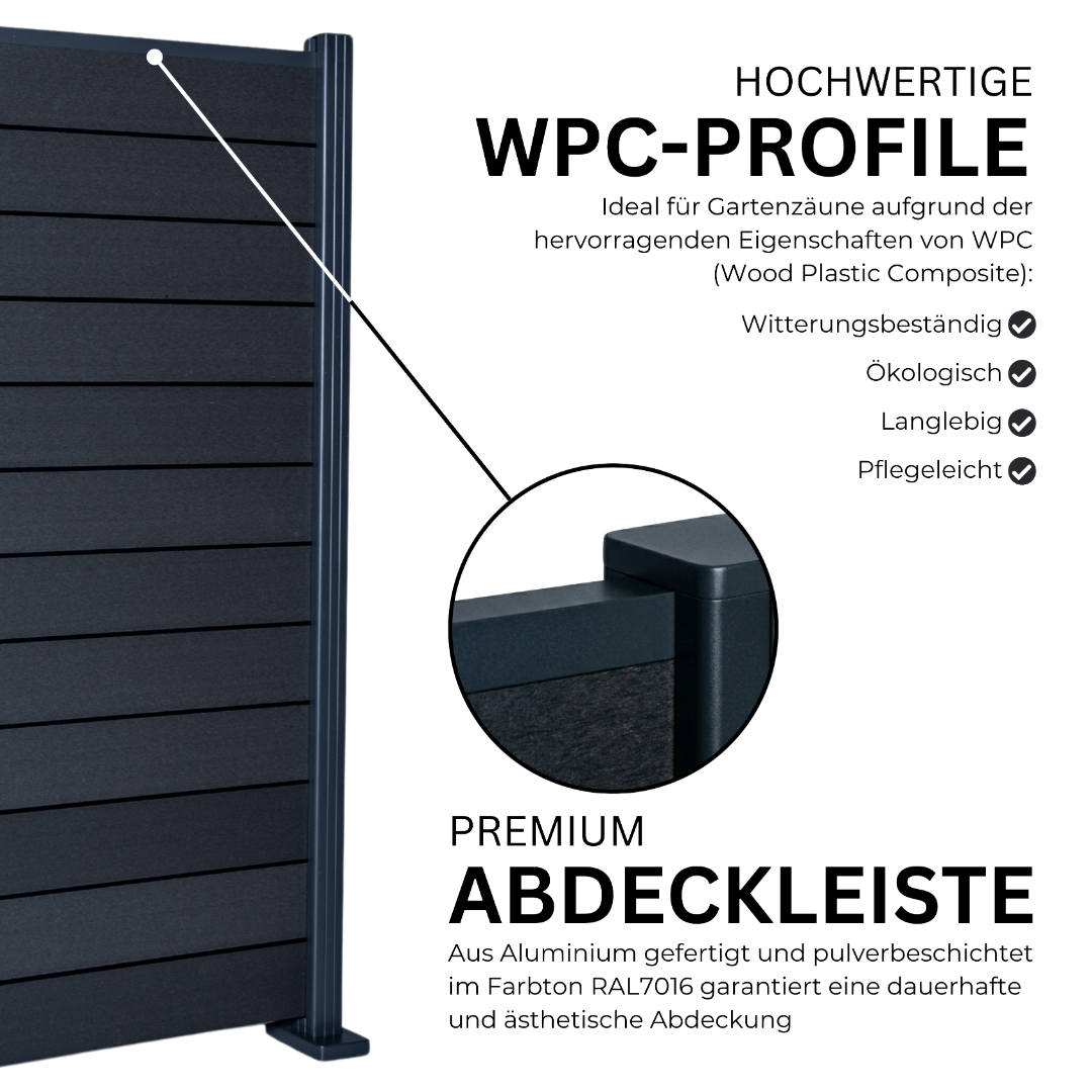 3.webp