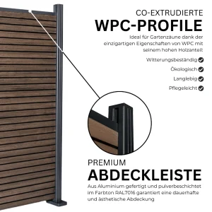 6.webp