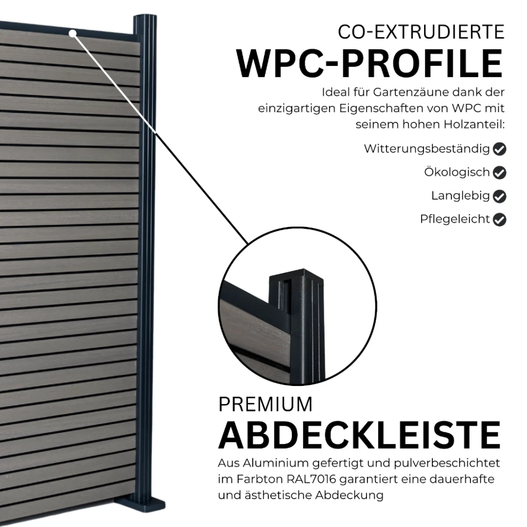6.webp