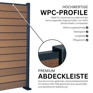 3.webp