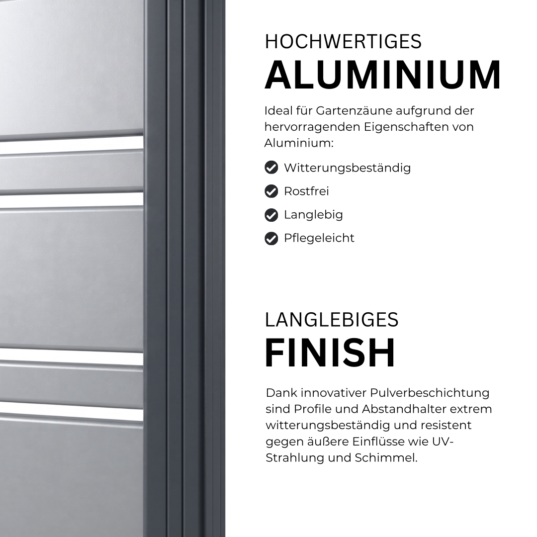 4.webp