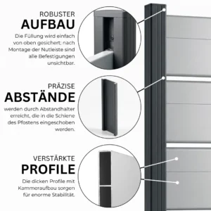 5.webp