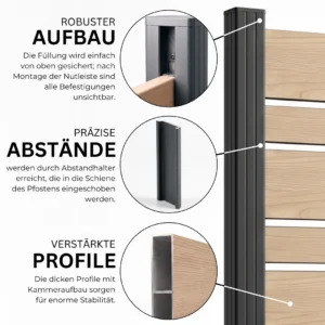 5.webp