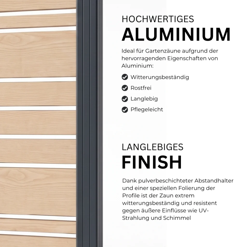 4.webp