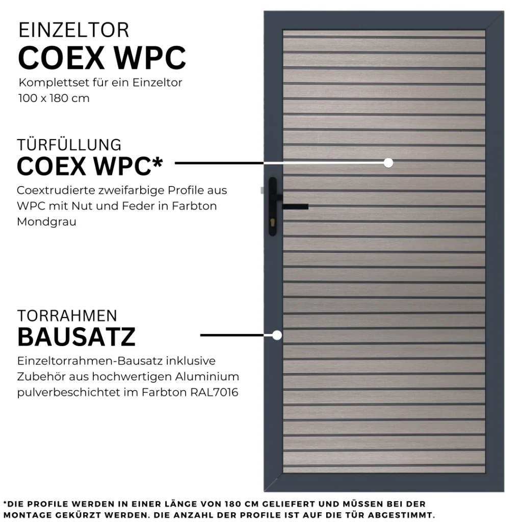 6.webp