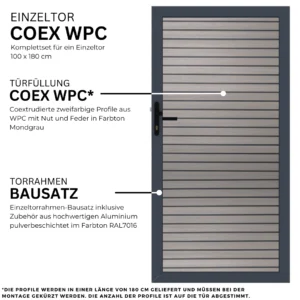 6.webp