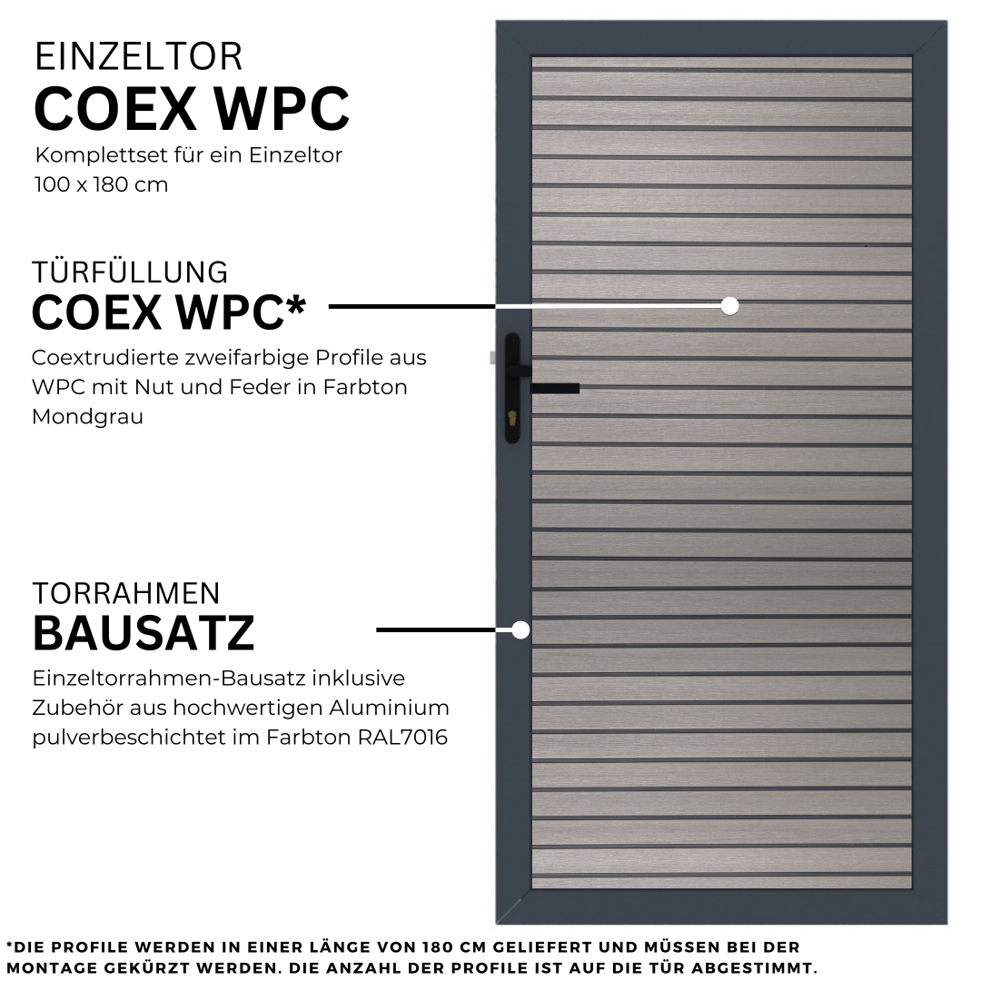 6.webp