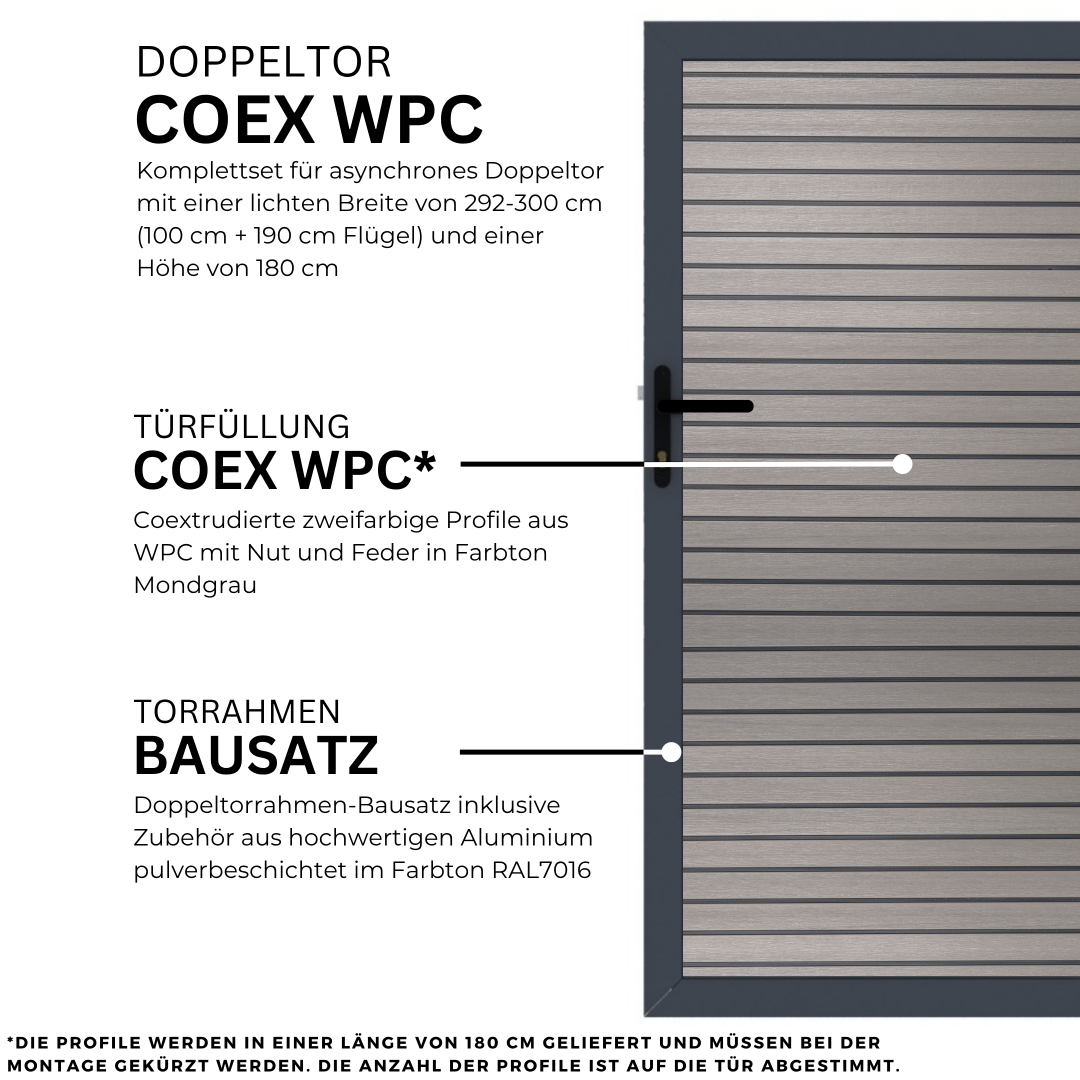 12.webp