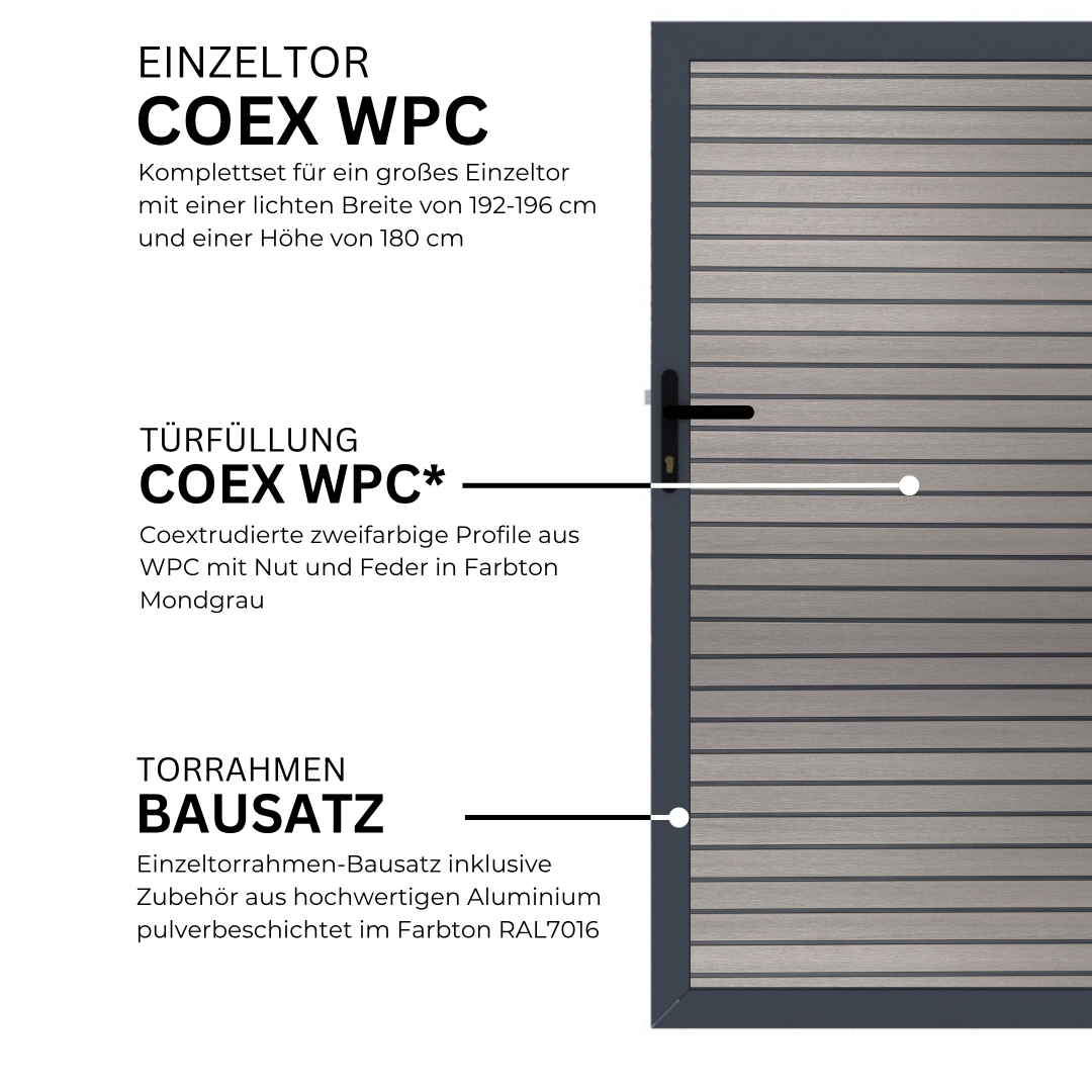 14.webp