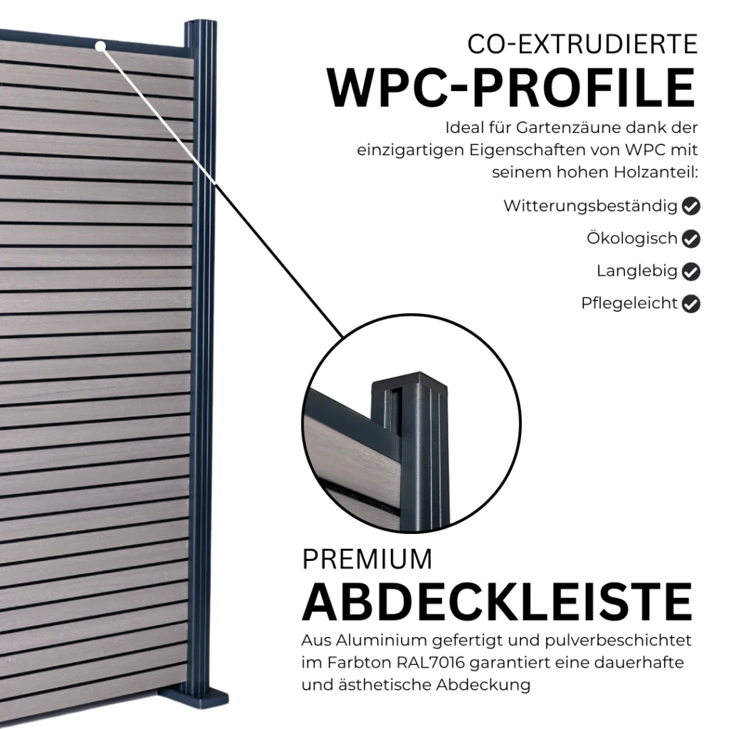 6.webp