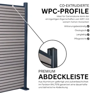 6.webp
