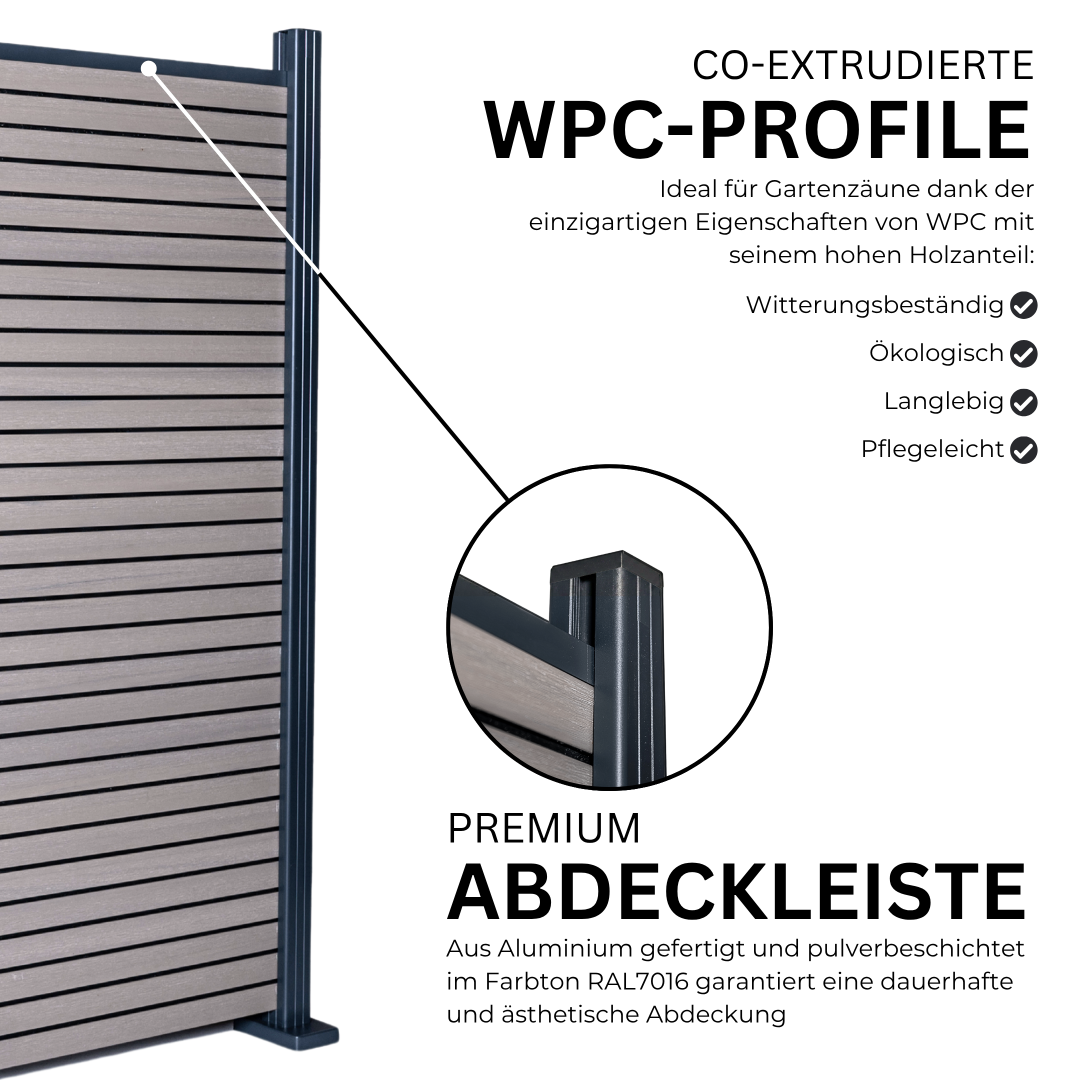 6.webp