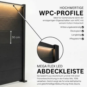 5.webp