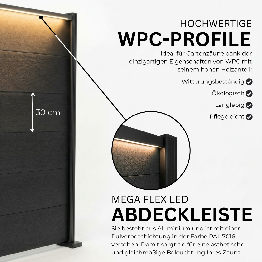 5.webp