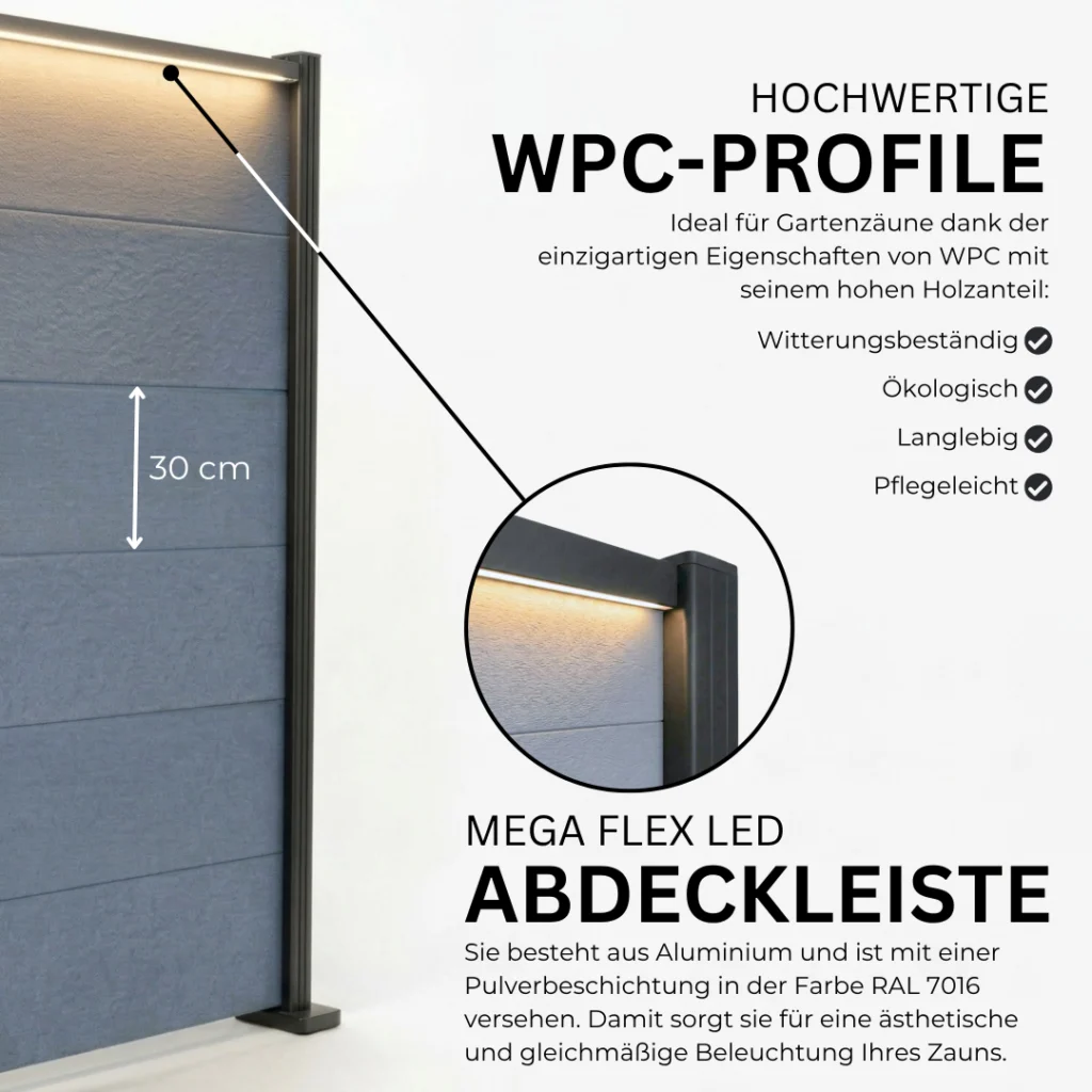 5.webp
