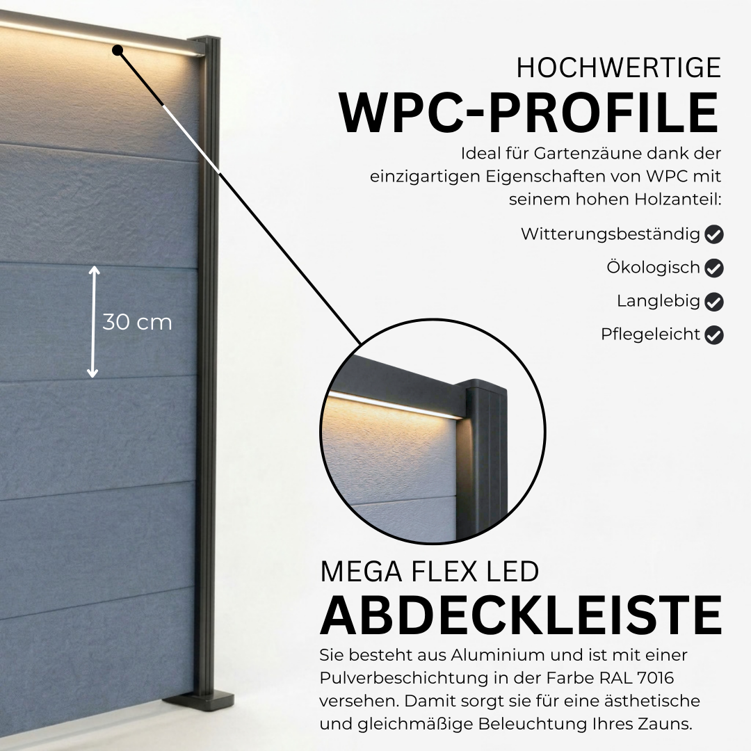 5.webp