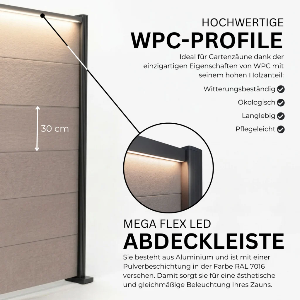 5.webp